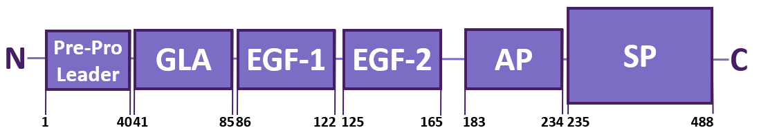 FXI Domains